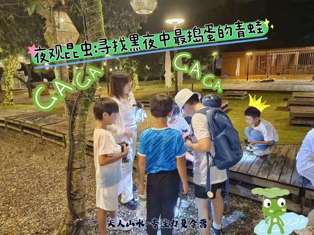 专注力学习力夏令营 | 一次寻找爱与勇气的旅程
